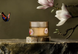 INTUITIA Collection Body Cream - Крем для тіла, 220ml 101 фото 2